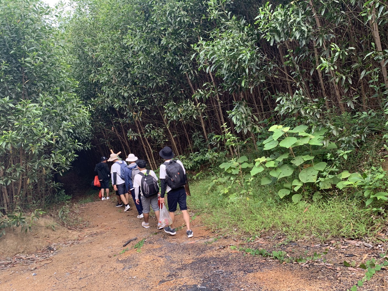 eb229737856c46321f7d